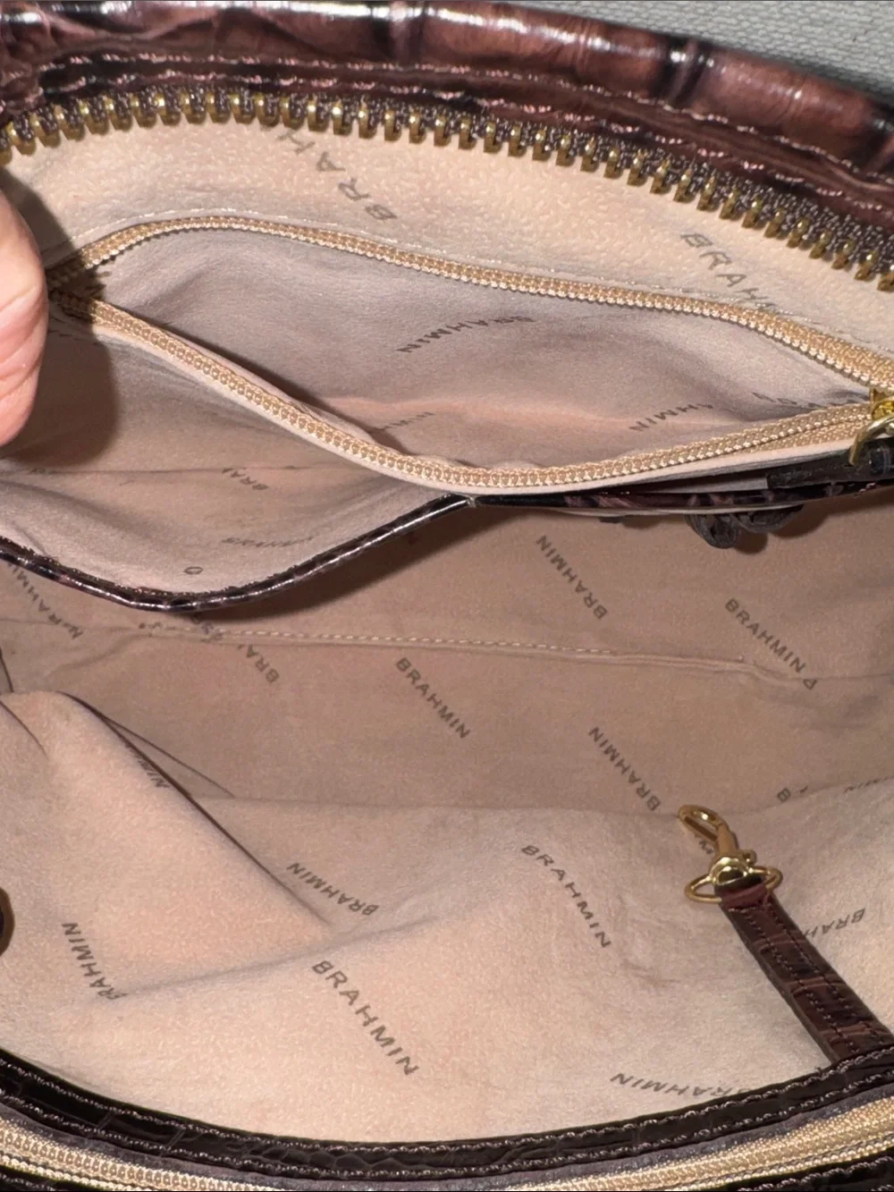 Brahmin structured satchel